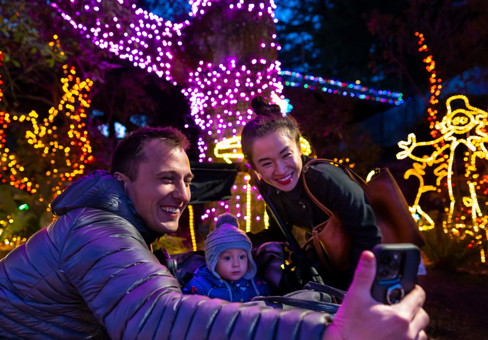 oregon zoo lights discount code groupon reddit