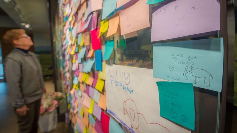 A wall filled with sticky notes shows hand drawn messages for Lily, an elephant who died. In the background, a blurred person stands reading the notes.