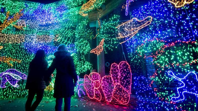 silhouette of two people viewing a ZooLights mural containing various animals