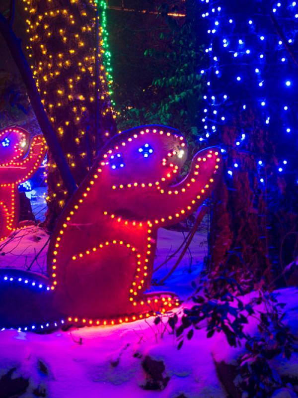 beaver light sculpture at ZooLights