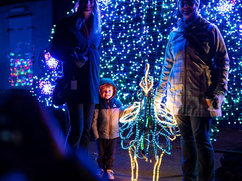 family posing in front of peacock light sculpture