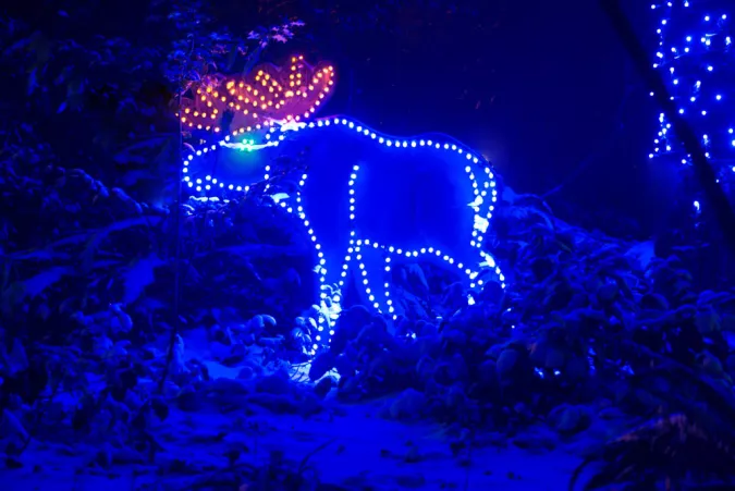 moose light sculpture at zoo