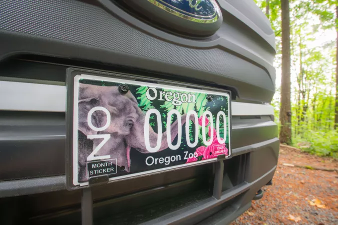 closeup of custom Oregon Zoo license plate