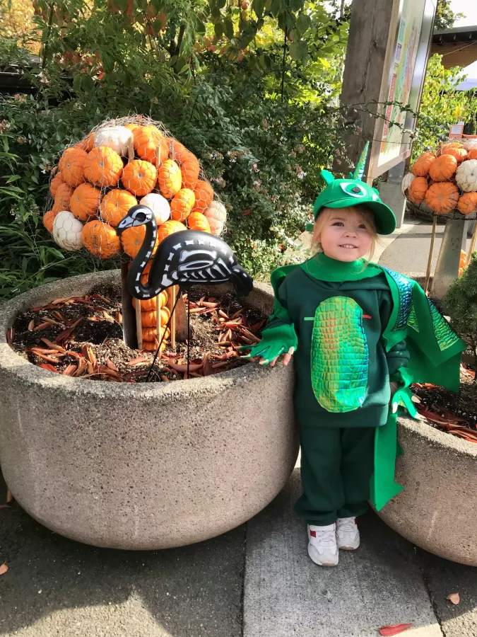 A toddler dressed in a green dragon costume standing by a planter with pumpkins and a Halloween decoration at a zoo.