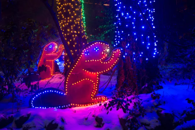 beaver light sculpture at ZooLights