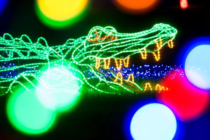 3D light sculpture of crocodile at ZooLights