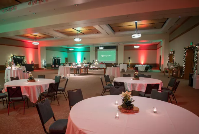 ballroom decorated with holiday lights and decorations