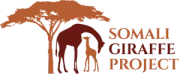 somali giraffe project logo